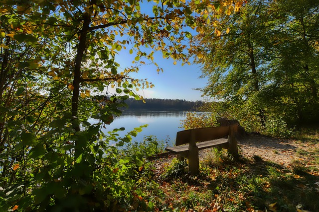 CBA：福建队凭借外援爆发击退深圳