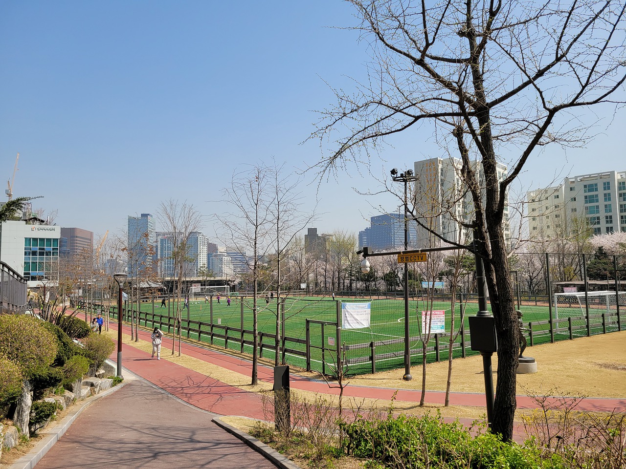领跑积分榜