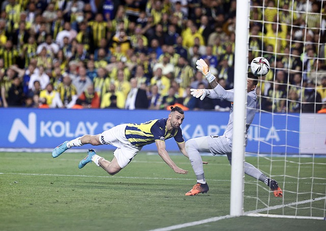 的发行无疑 的发行无疑