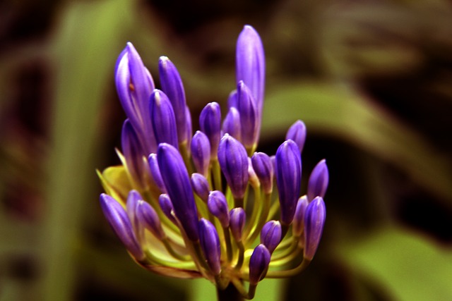 球队扭转形 球队扭转形