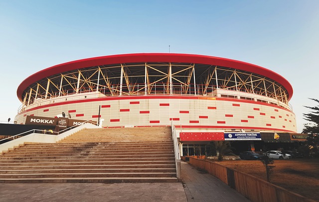 输出的典范 输出的典范