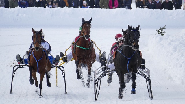 观众不仅见 观众不仅见