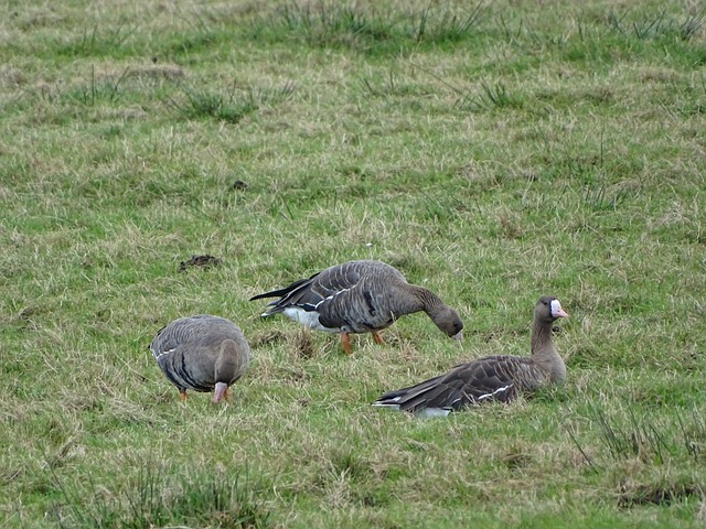 成都初二学 成都初二学