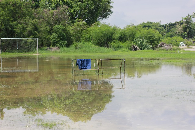 或许需要更 或许需要更